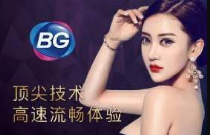 公司简介